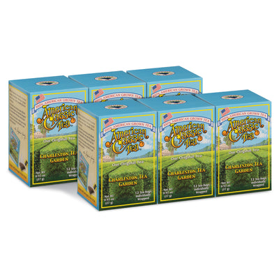 6 boxes of American Classic Tea